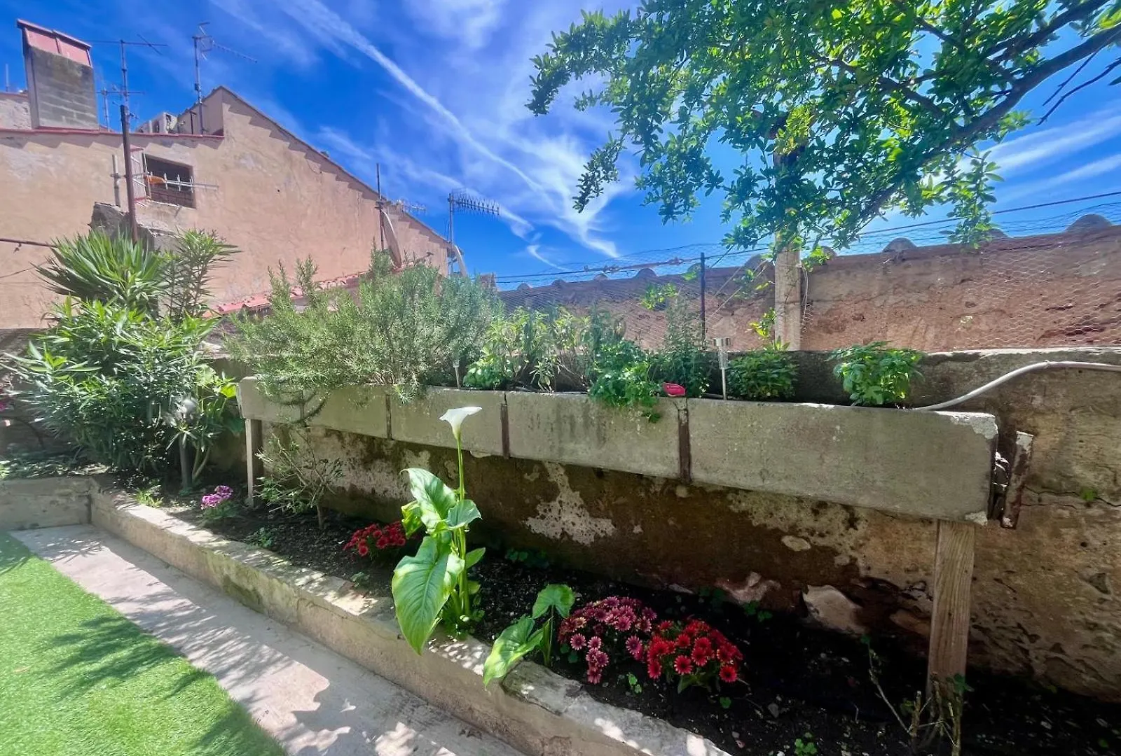 포르토페라이오 Il Giardino Nascosto - Elba Affitti 아파트 0*,